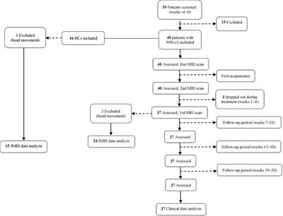 Differential Modulating Effect of Acupuncture in Patients With Migraine Without Aura: A Resting Functional Magnetic Resonance Study